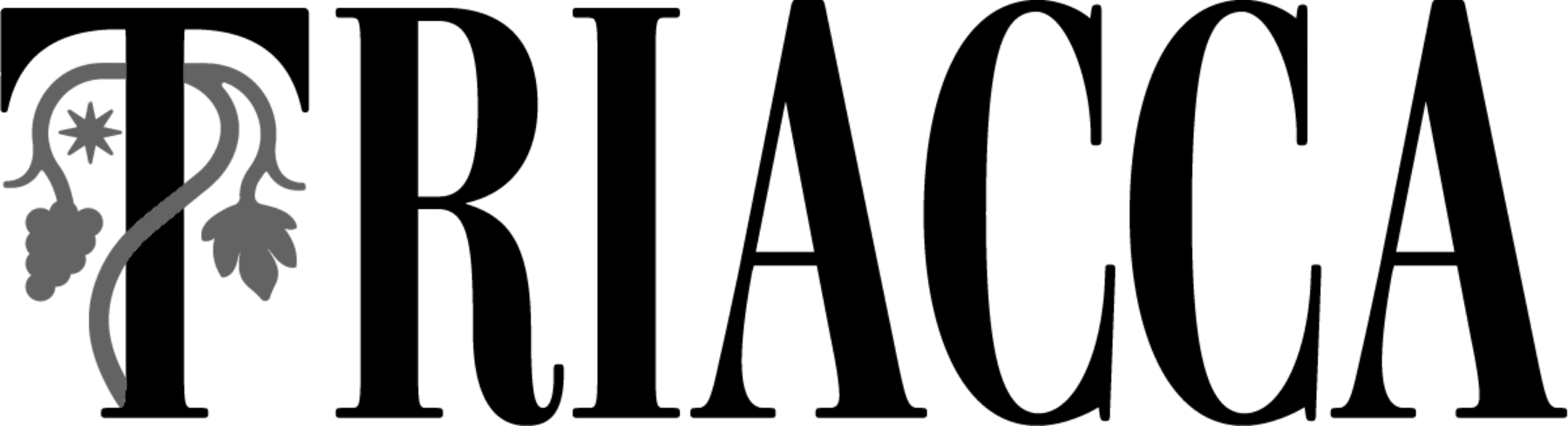 Progetto senza titolo (3)